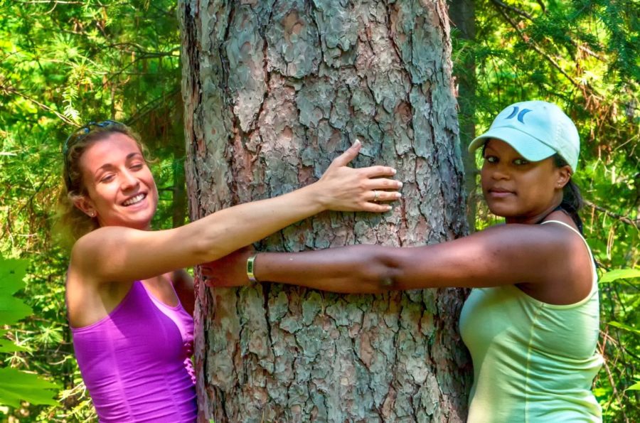 Two young girls hugging a red pine tree trunk