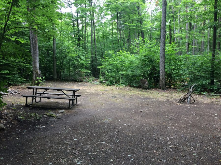 Hardwood Hill campsite 