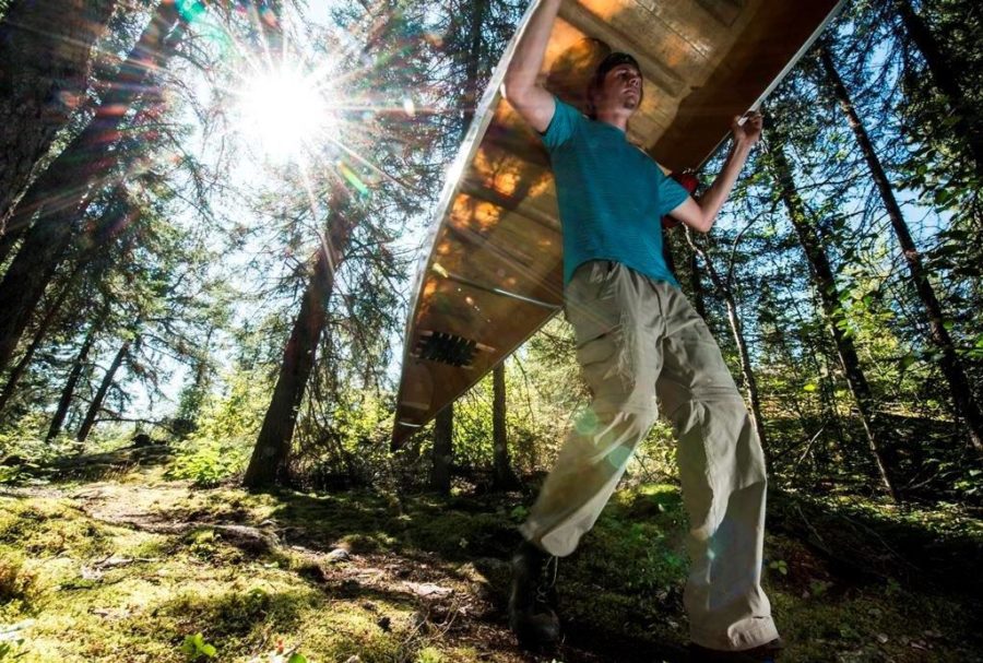 Person in blue shirt, portaging a canoe through the forest