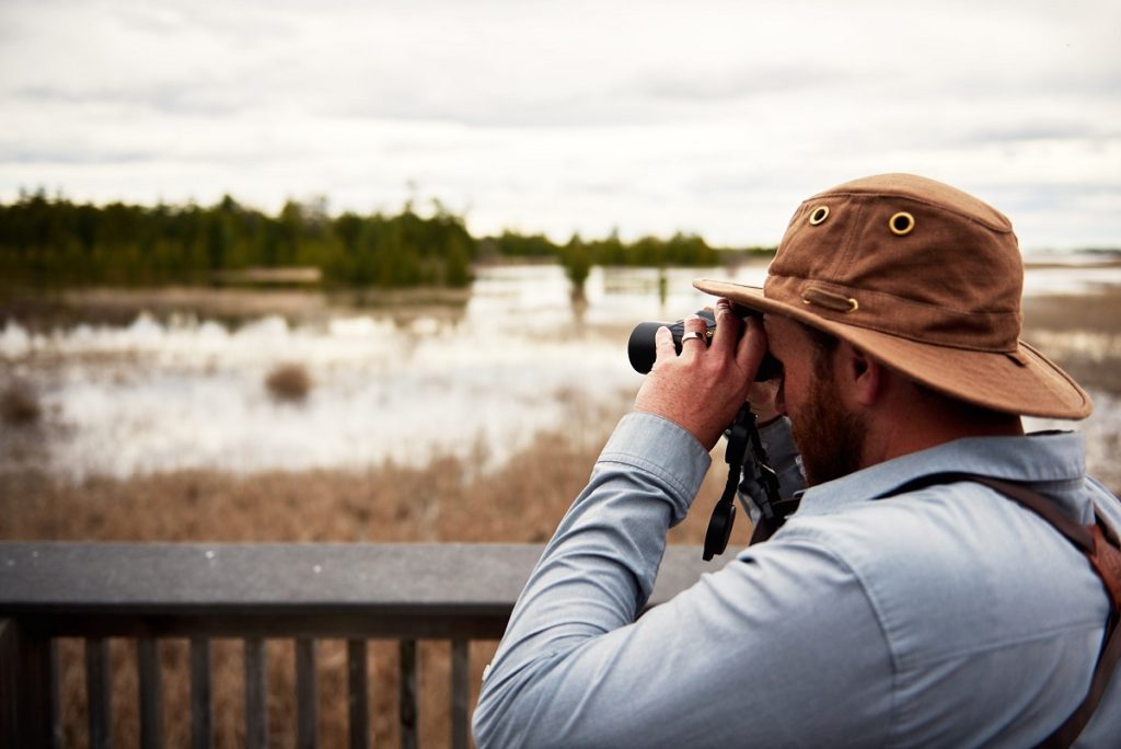 A person birdwatching with binoculars on a viewing platform in front of a wetland on a cloudy day