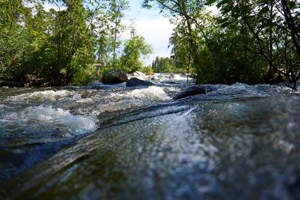 Low shot of river, close the water, looking up at trees on the shoreline and sky