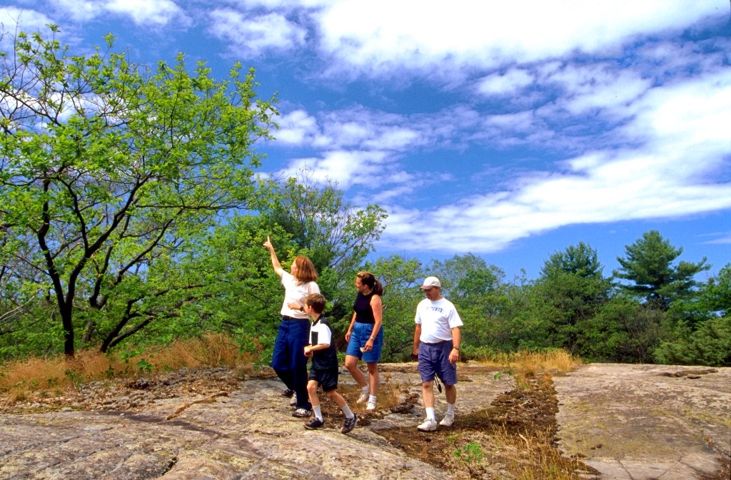 Three adults and a child walking over rock with trees in the background under a bright blue sky