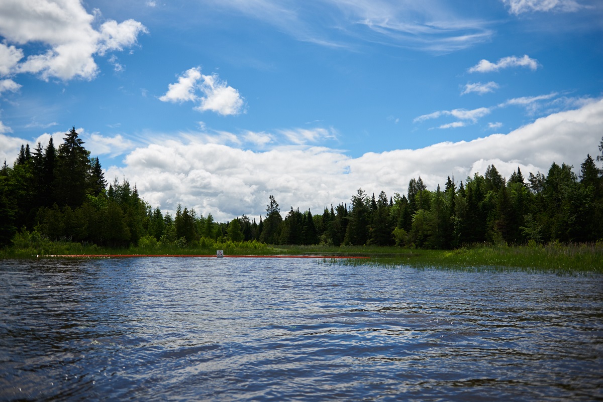 Lake water with forested shoreline under blue sky