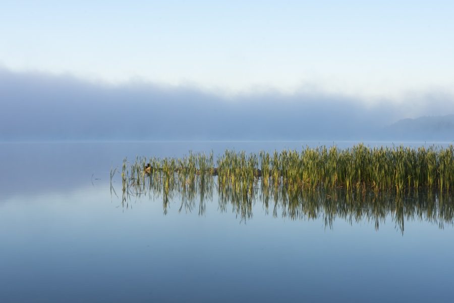 Mist over the lake in the backcountry