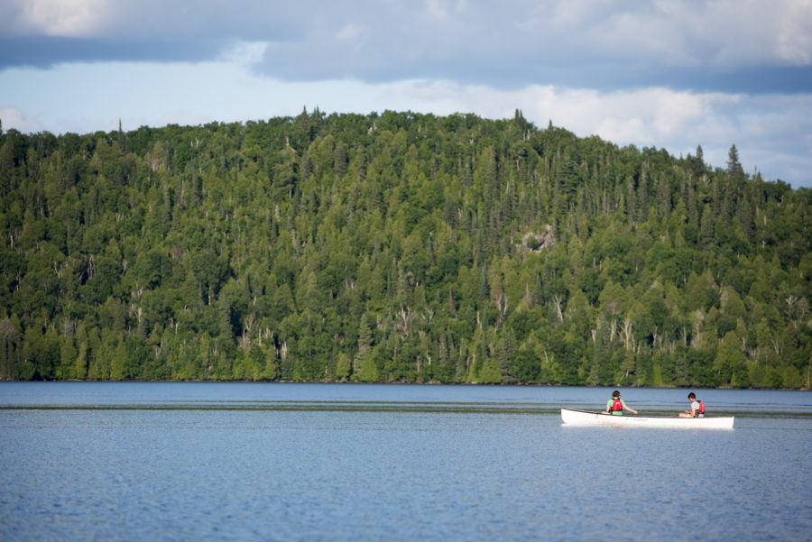 Lake and forest and blue sky