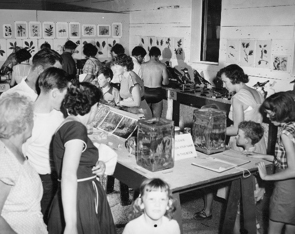 Several people milling about a number of interpretive stations 