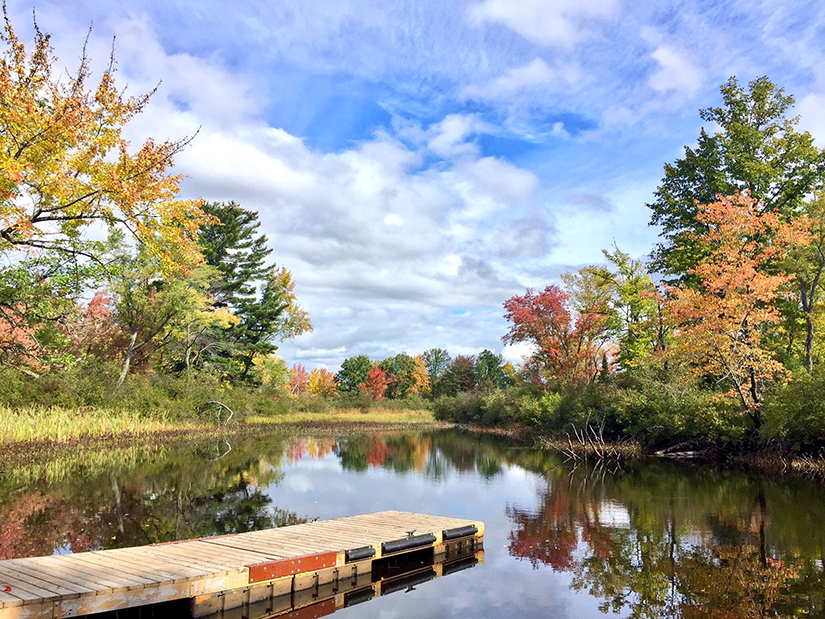 Fall trees on the river with a dock