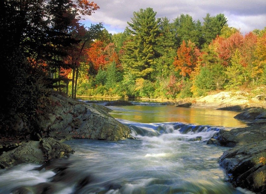 Water fall with autumn forest in the background