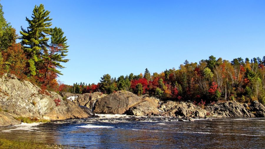 River with fall colour trees