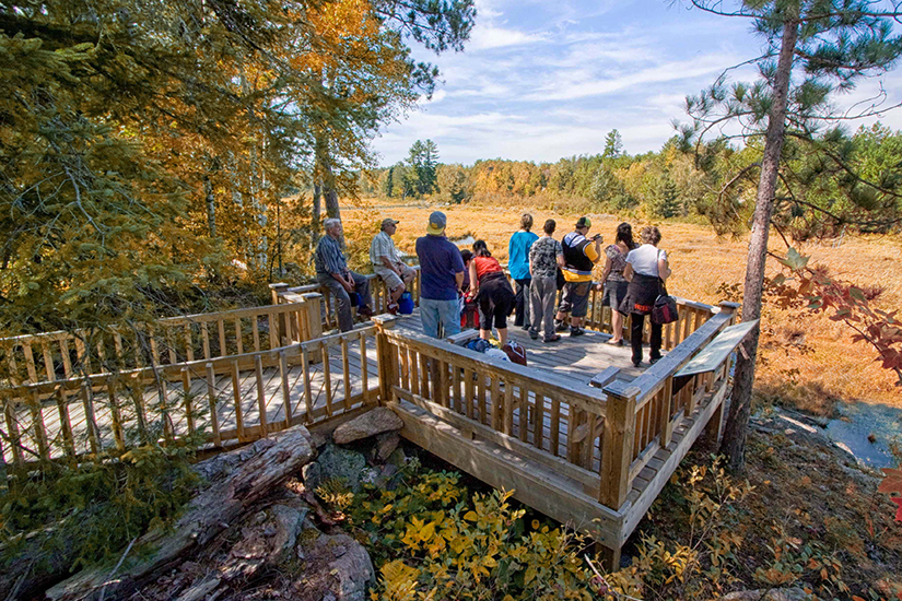 People look at nature on viewing platform