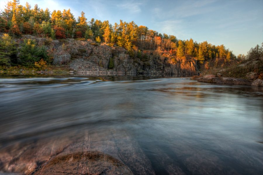 Fall trees beyond a rushing river