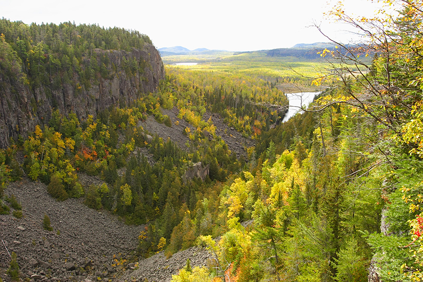 Canyon in fall with yellow trees