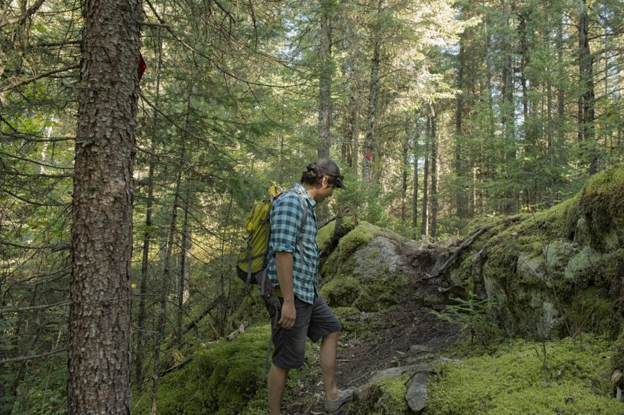 Guy on his way up a slope in the forest