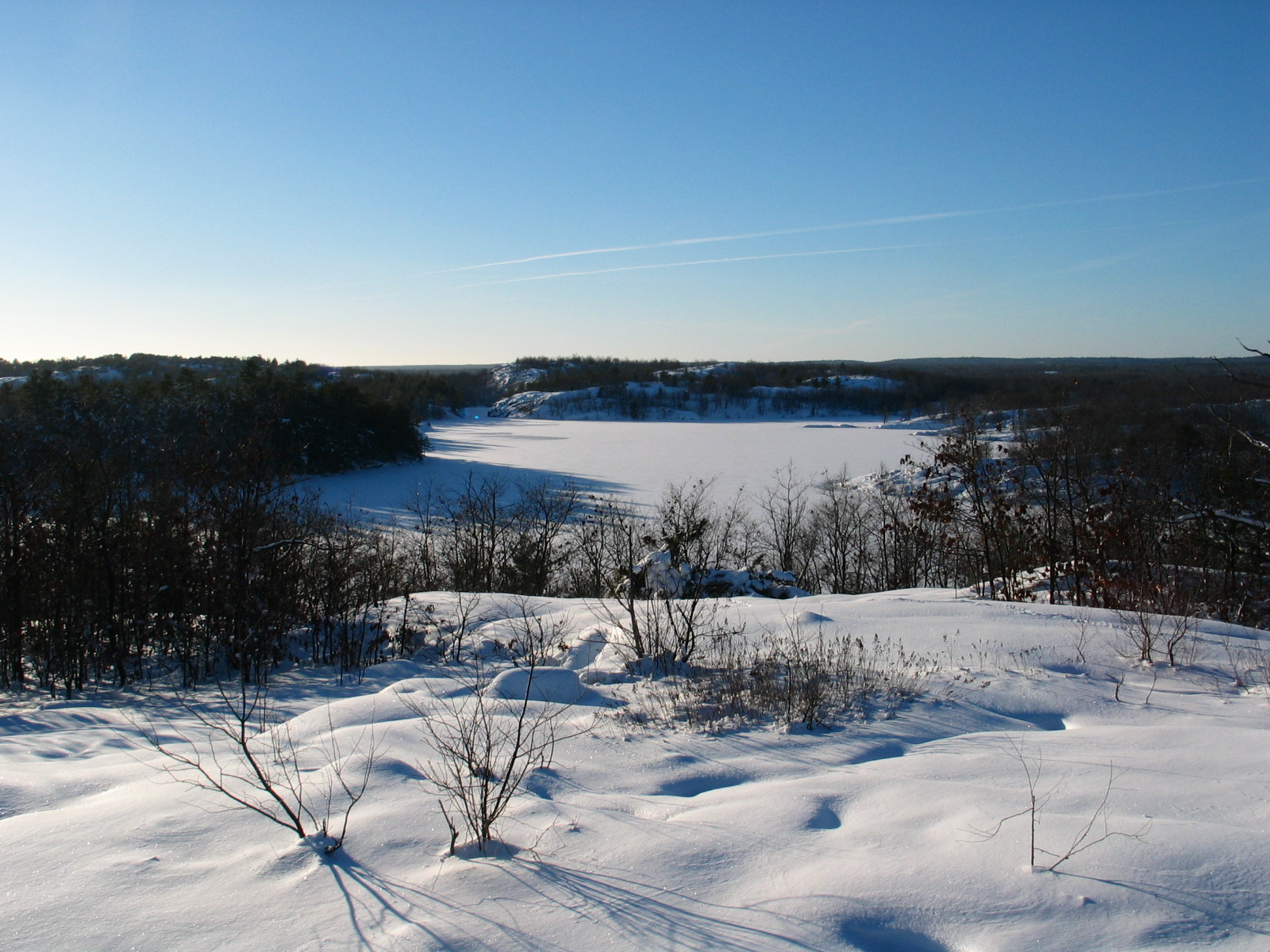 ground covered in snow with bushes