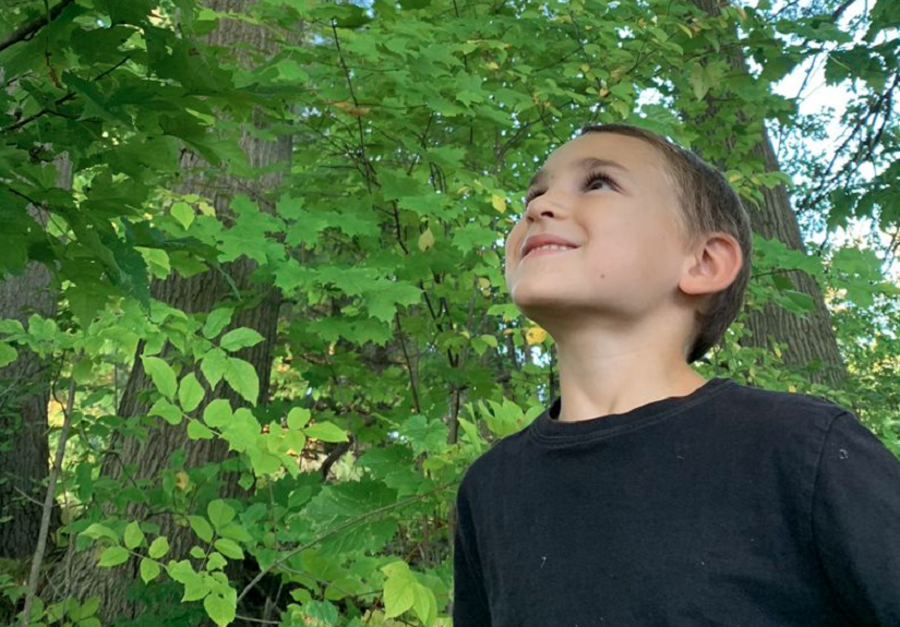 Child looks up at trees.