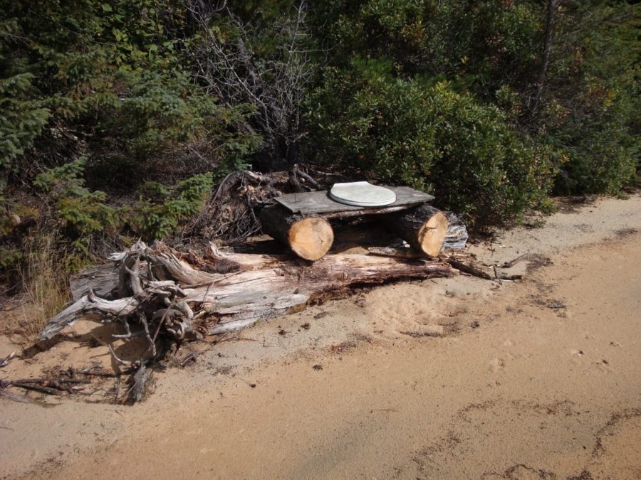 Two logs with a plank with a toilet seat