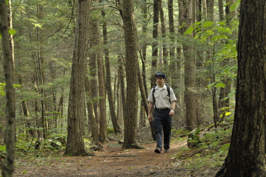 Staff Hiking through the forest at Charleston Lake Provincial Park