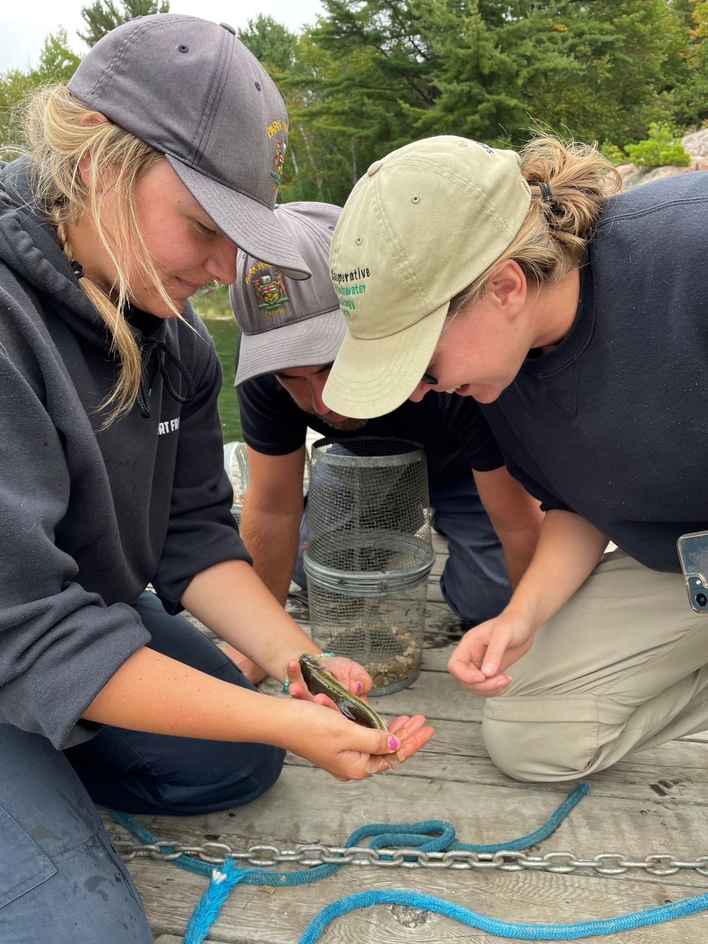 Three researchers kneeling on a deck, studying a small fish that they've caught.