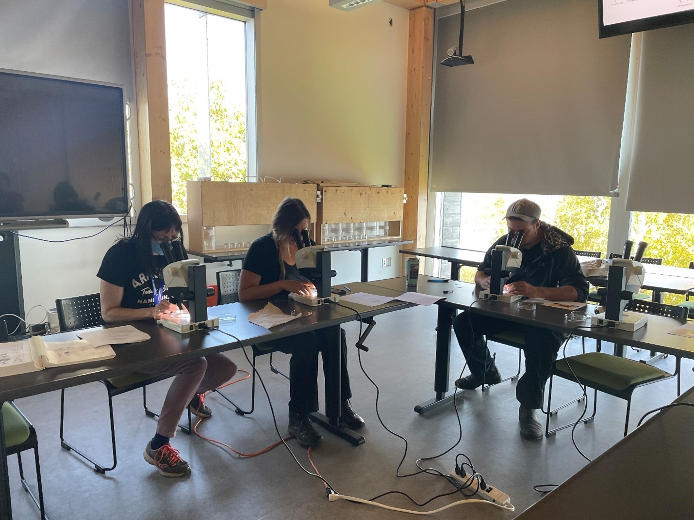 Three researchers seated at an L-shaped desk, each looking into a microscope in front of them.