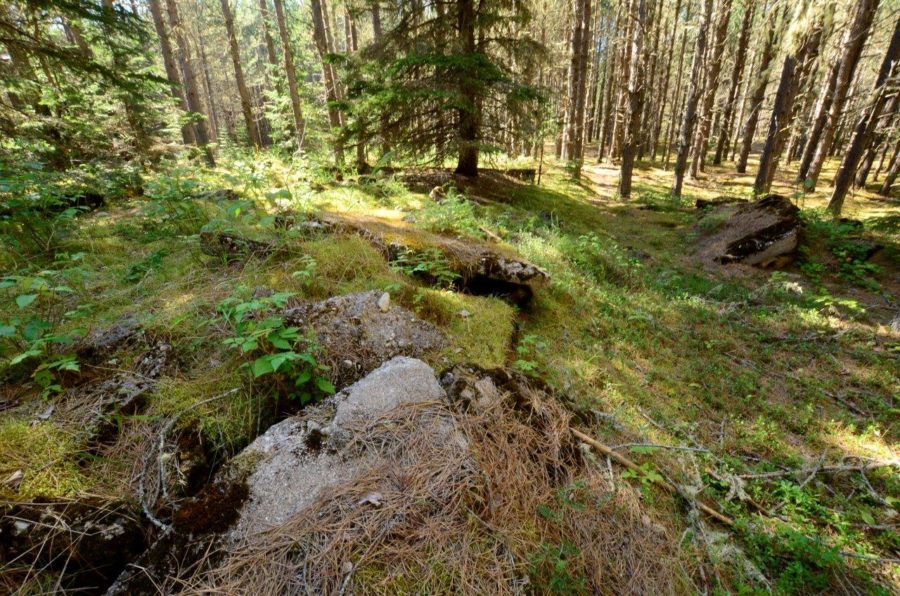 remnants of foundation of mess hall. Small amounts of bricks found around moss and other nature