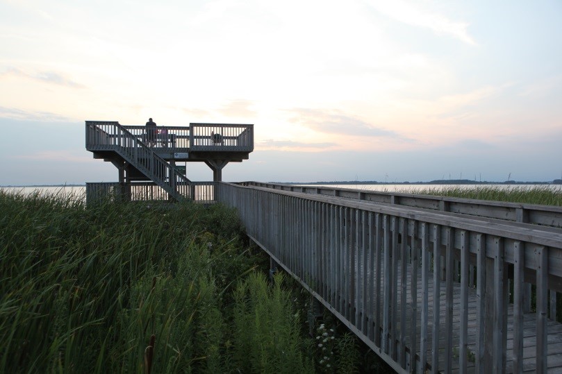 two tier viewing platform