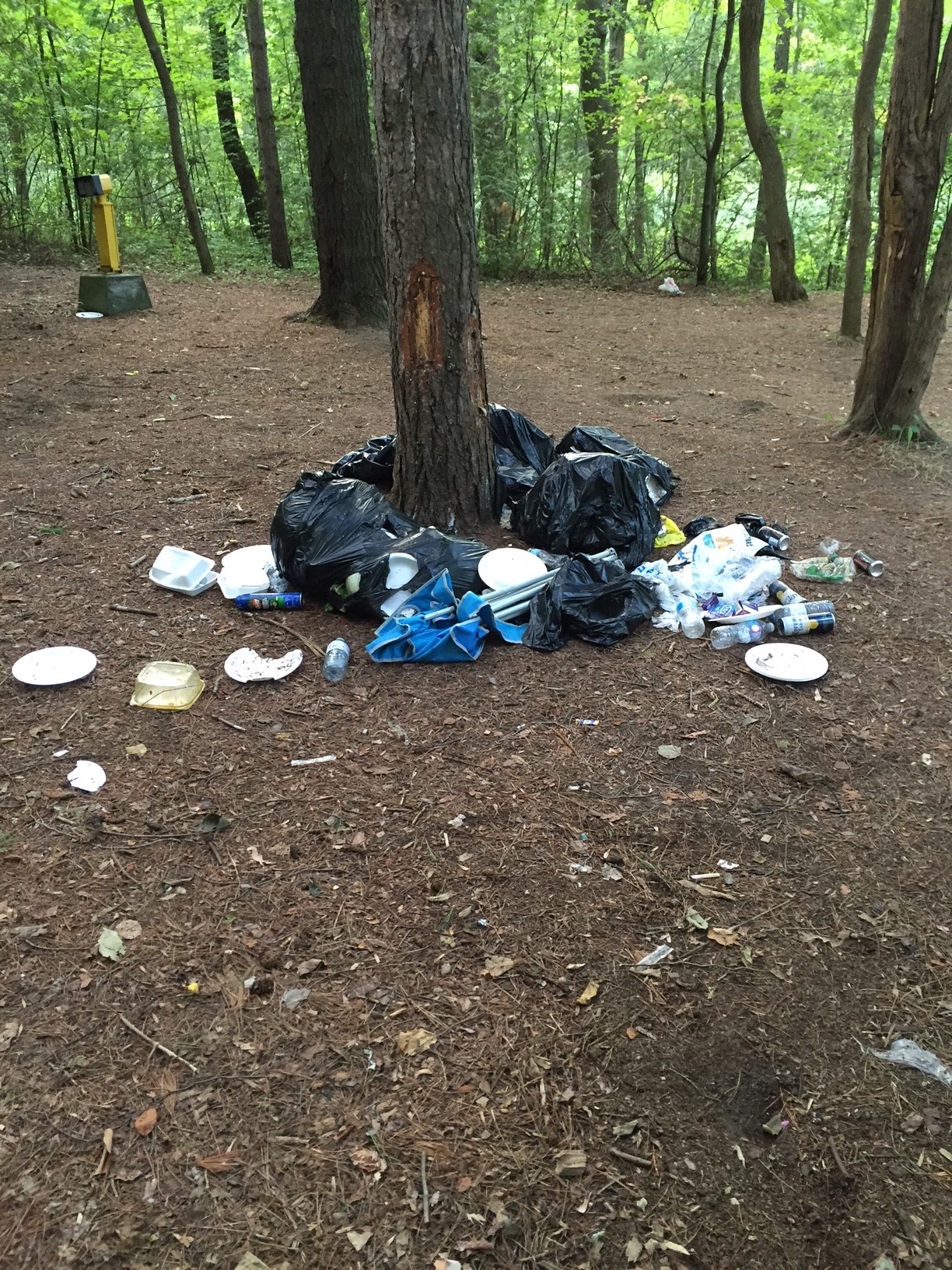 trash on the ground under a tree