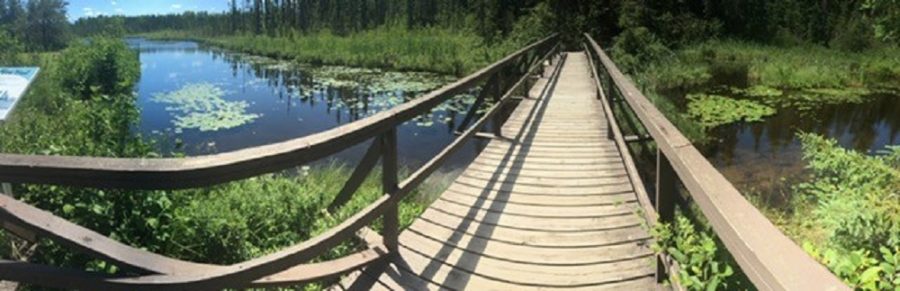 bridge over fen