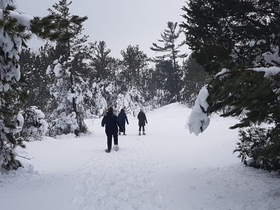 Snowshoers in Pinery