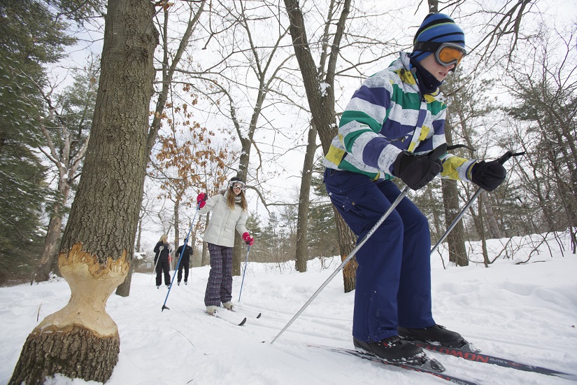 Children cross country skiing on trail