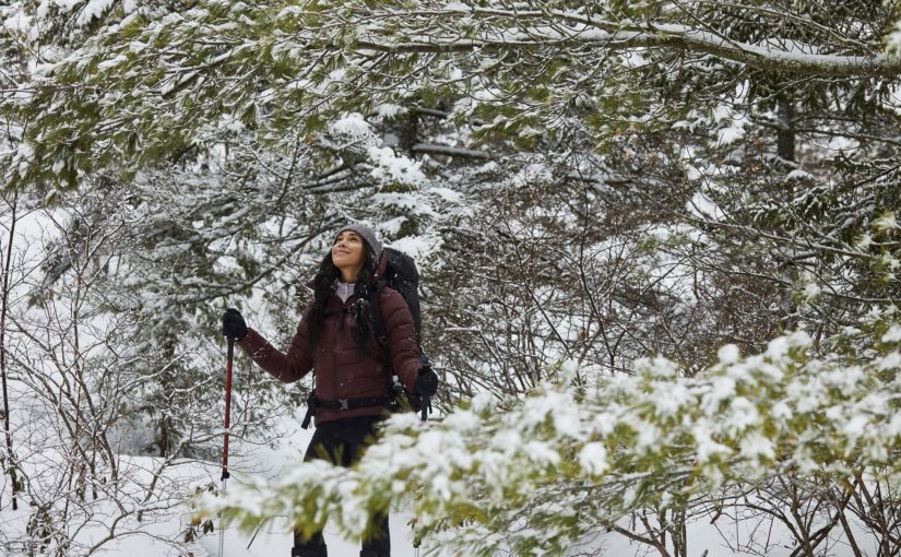 Visitor walking in the woods.