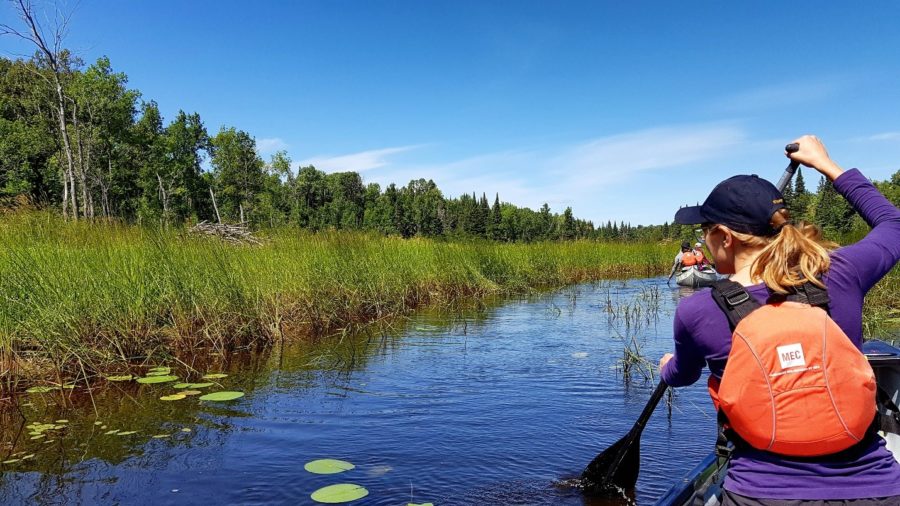 staff paddling in canoe