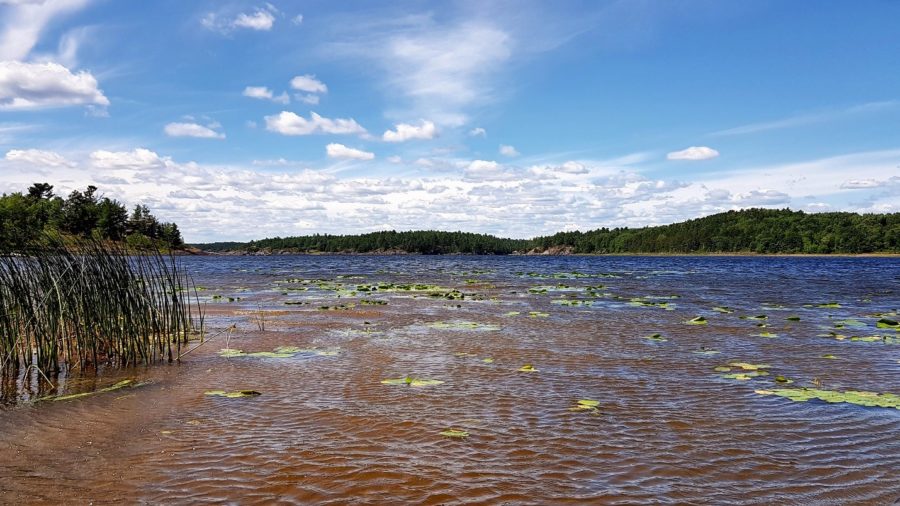 lake and river meeting