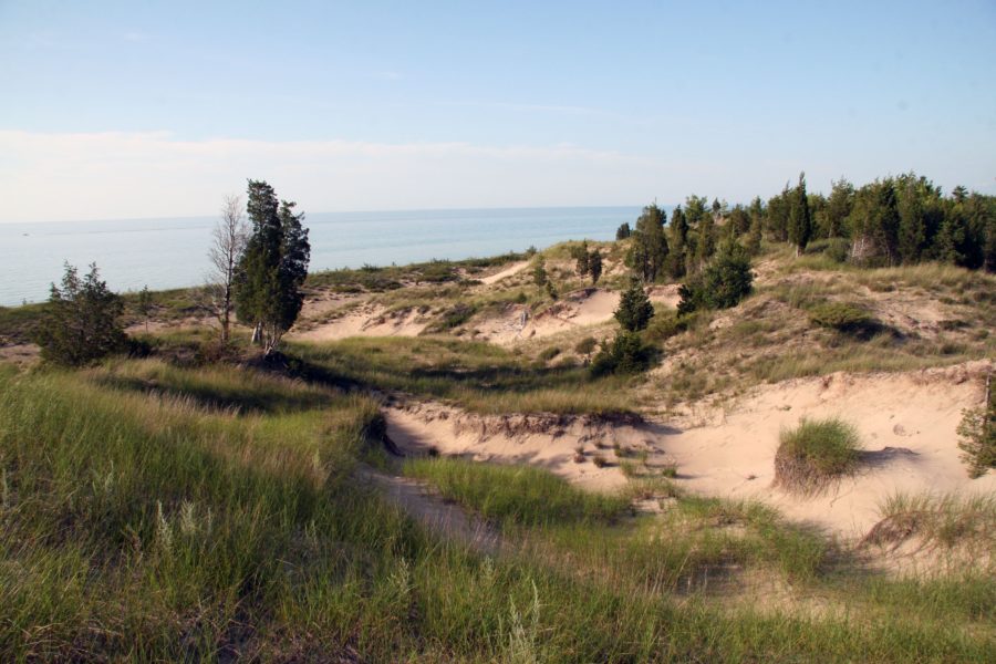 coastal sand dunes