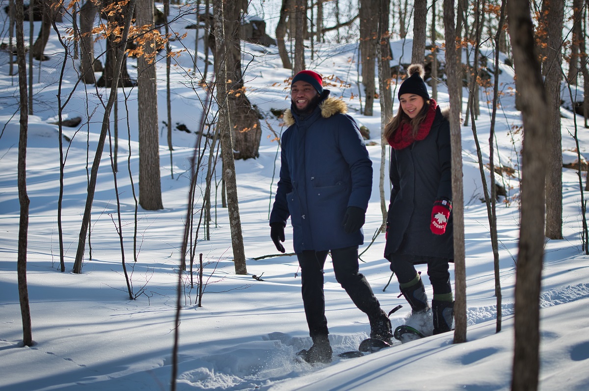 two people snowshoeing