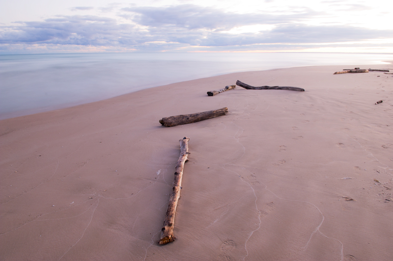 logs on beach