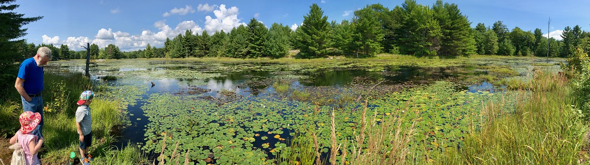 Six Mile Lake Panoramic view