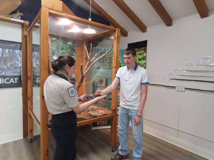Membre du personnel de Parcs Ontario montrant une couleuvre obscure à une personne en visite.