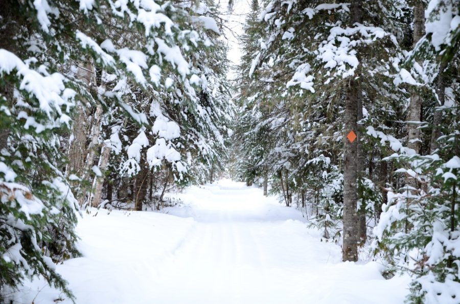 snowy trail