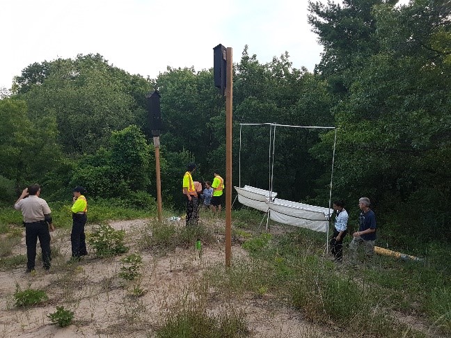 staff working on bat boxes