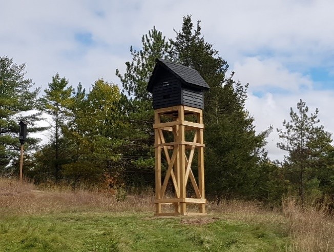 bat condo