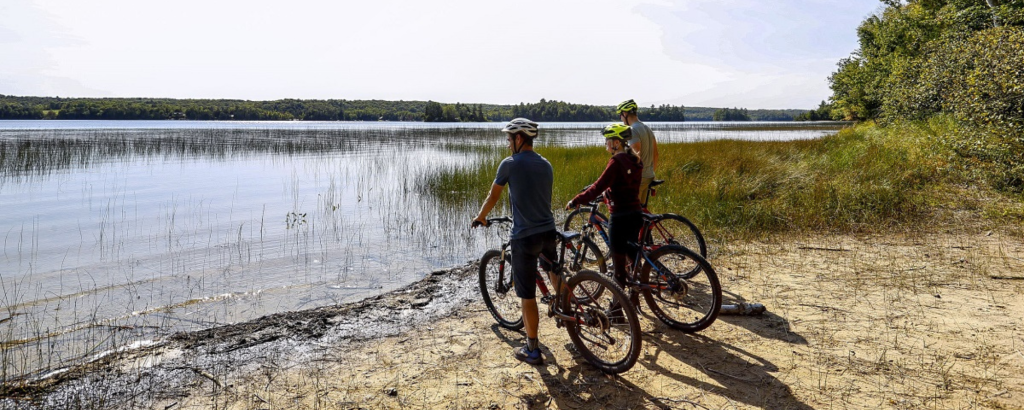 3 mountain bikers looking at view