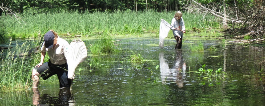researchers in the pond