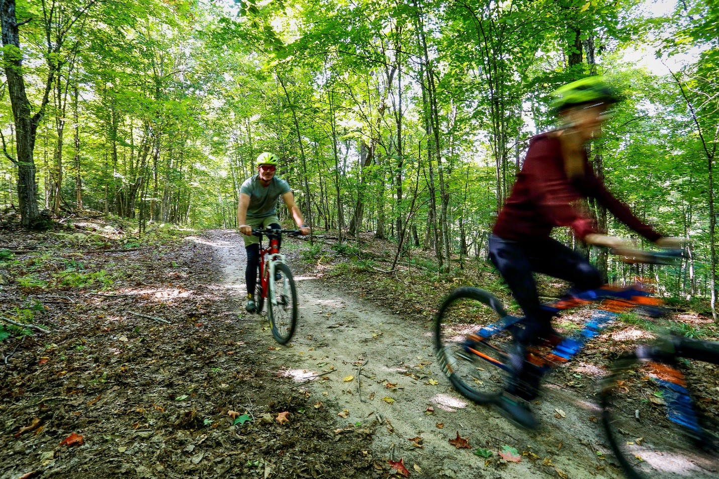 people biking on trail