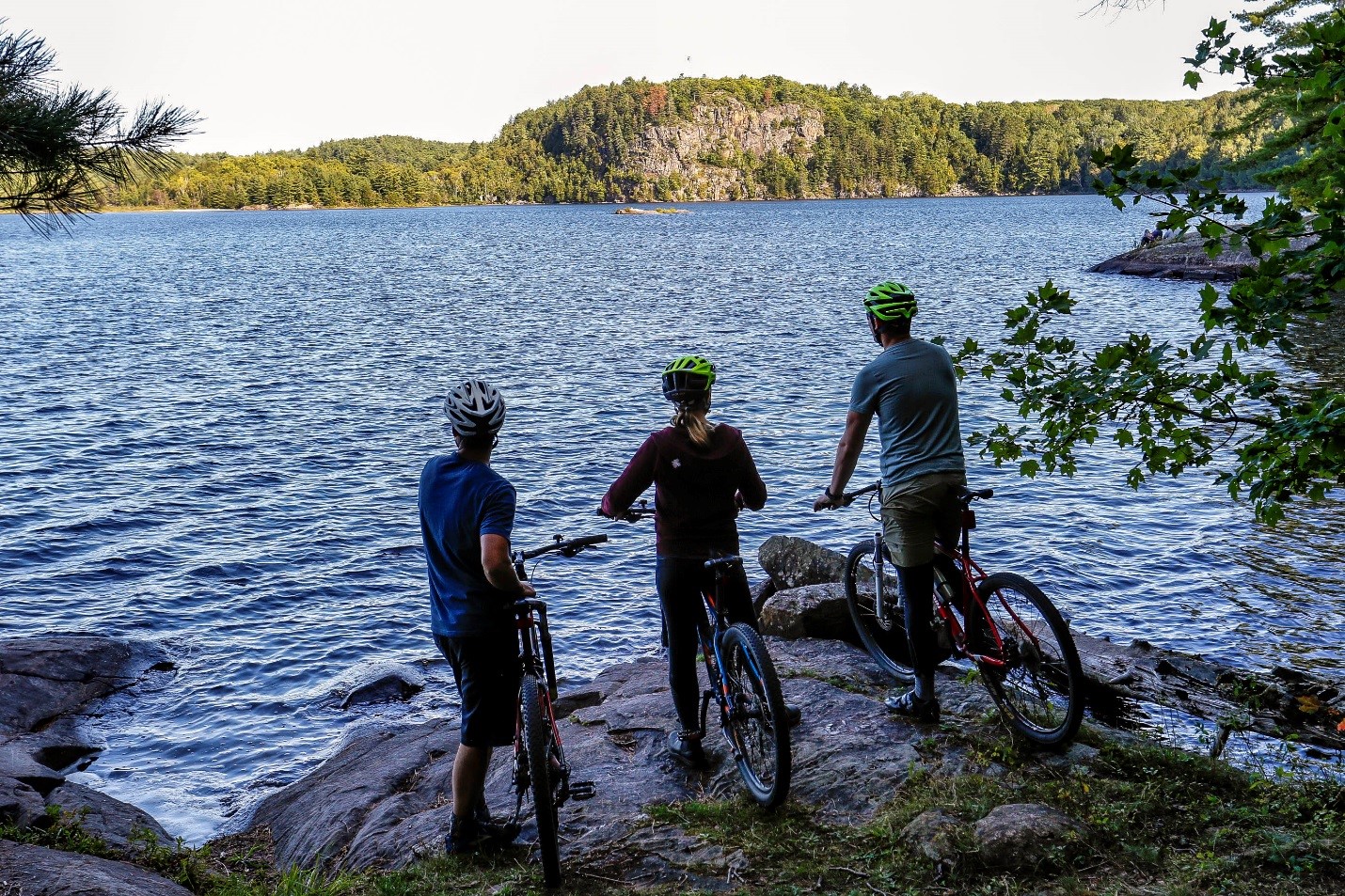 people on bikes looking off at lake