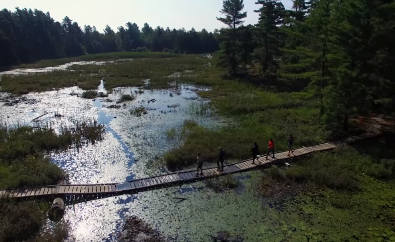 hikers on boardwalk