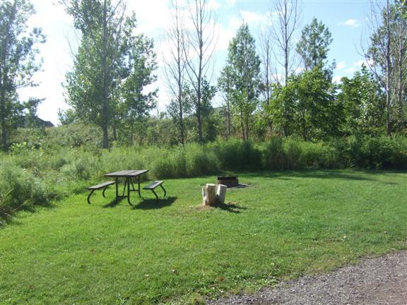 campsite with picnic table