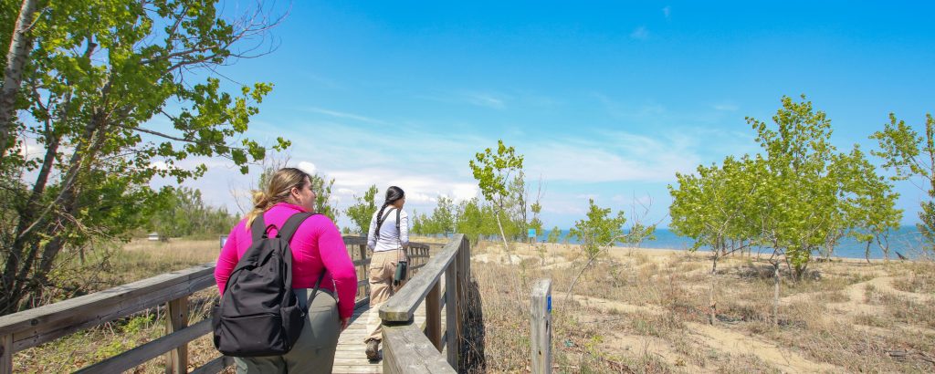two people walking on boardwalk near sand dunes