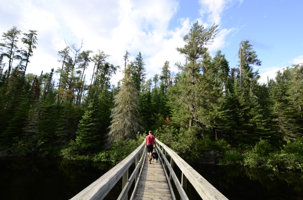 person with leashed dog walking across bridge into forest