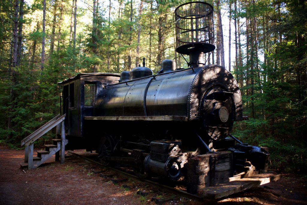 train engine model in forest