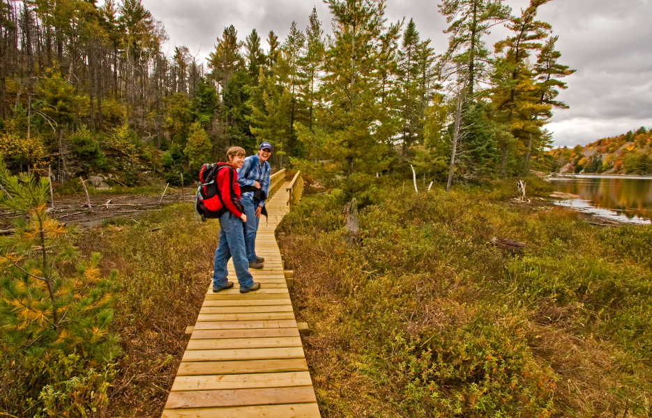 two people walking on boardwalk through forest